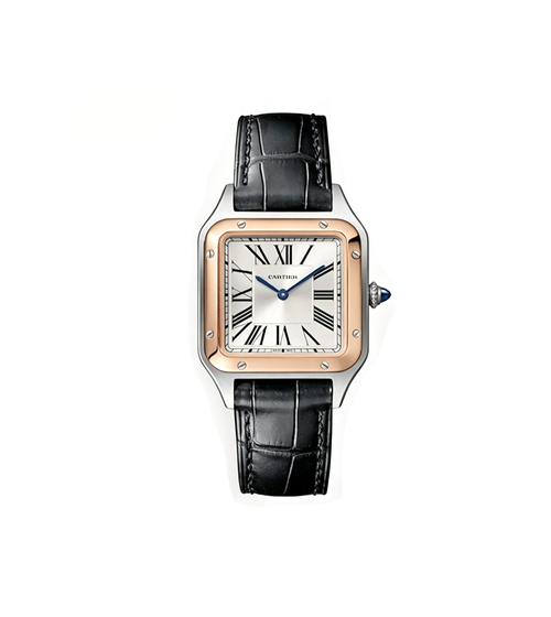 Cartier‑RG‑SV‑BK01